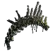 Preserved Vertebrae